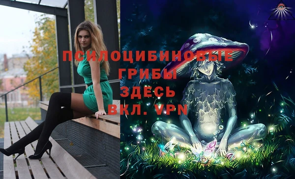 скорость Бородино
