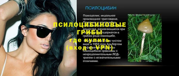 скорость Бородино