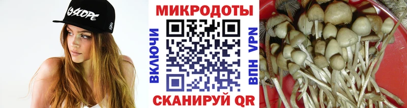 Галлюциногенные грибы мицелий  МЕГА ONION  Краснообск  где купить наркоту 